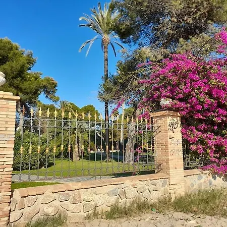 Ali's House *